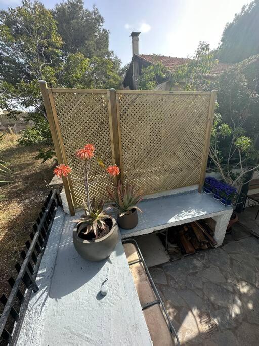 הוילה ארטמידה Caja De Anthea מראה חיצוני תמונה